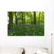 A Forest With Bluebells Wall Mural