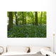 A Forest With Bluebells Wall Mural