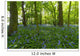 A Forest With Bluebells Wall Mural