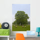 Sheep Grazing On The Grass Wall Mural