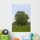 Sheep Grazing On The Grass Wall Mural