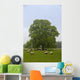 Sheep Grazing On The Grass Wall Mural
