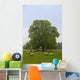 Sheep Grazing On The Grass Wall Mural