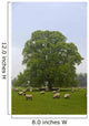 Sheep Grazing On The Grass Wall Mural