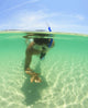 A Young Man Snorkels Holding A Starfish Underwater Wall Mural