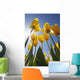 Yellow Tulips Against A Blue Sky At Wooden Shoe Tulip Farm Wall Mural