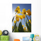 Yellow Tulips Against A Blue Sky At Wooden Shoe Tulip Farm Wall Mural