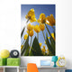 Yellow Tulips Against A Blue Sky At Wooden Shoe Tulip Farm Wall Mural