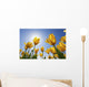 Yellow Tulips Against A Blue Sky At Wooden Shoe Tulip Farm Wall Mural