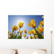 Yellow Tulips Against A Blue Sky At Wooden Shoe Tulip Farm Wall Mural