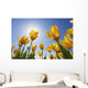 Yellow Tulips Against A Blue Sky At Wooden Shoe Tulip Farm Wall Mural