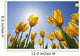 Yellow Tulips Against A Blue Sky At Wooden Shoe Tulip Farm Wall Mural