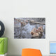 snow monkey nagano Japan Wall Mural
