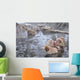 snow monkey nagano Japan Wall Mural