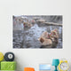 snow monkey nagano Japan Wall Mural