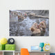 snow monkey nagano Japan Wall Mural