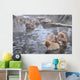 snow monkey nagano Japan Wall Mural