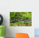 Tanner Creek In Columbia River Gorge National Scenic Area Wall Mural