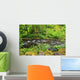 Tanner Creek In Columbia River Gorge National Scenic Area Wall Mural