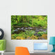 Tanner Creek In Columbia River Gorge National Scenic Area Wall Mural