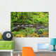 Tanner Creek In Columbia River Gorge National Scenic Area Wall Mural
