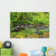 Tanner Creek In Columbia River Gorge National Scenic Area Wall Mural