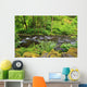 Tanner Creek In Columbia River Gorge National Scenic Area Wall Mural