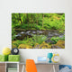 Tanner Creek In Columbia River Gorge National Scenic Area Wall Mural