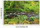 Tanner Creek In Columbia River Gorge National Scenic Area Wall Mural