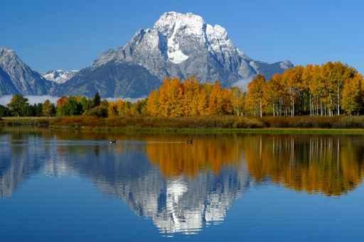 Fall Tetons Wall Decal