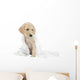 Golden Retriever Puppy and Towel Wall Decal