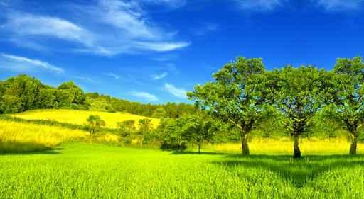 Summer Landscape Wall Decal Design 1