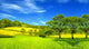 Summer Landscape Wall Decal Design 1