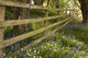 A Wooden Fence Wall Mural