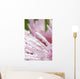 Flower Petals With Raindrops Wall Mural