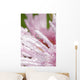 Flower Petals With Raindrops Wall Mural