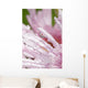 Flower Petals With Raindrops Wall Mural