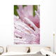 Flower Petals With Raindrops Wall Mural