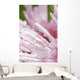 Flower Petals With Raindrops Wall Mural