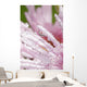 Flower Petals With Raindrops Wall Mural