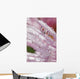 Flower Petals With Raindrops Wall Mural