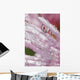 Flower Petals With Raindrops Wall Mural