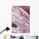 Flower Petals With Raindrops Wall Mural