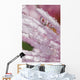 Flower Petals With Raindrops Wall Mural