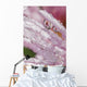 Flower Petals With Raindrops Wall Mural