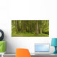 A Lush Forest Wall Mural