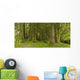 A Lush Forest Wall Mural