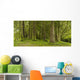 A Lush Forest Wall Mural