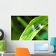 Sunlit Water Droplet Grass Wall Decal
