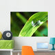 Sunlit Water Droplet Grass Wall Decal